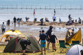 【姫路白浜潮干狩り場】今年は“春から秋までロングラン×誰でもユニバーサル”で本格開催