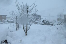 豊岡で積雪60cmの大雪　一晩で30cm超の猛烈な積雪、衆院選や交通への影響広がる