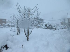豊岡で積雪60cmの大雪　一晩で30cm超の猛烈な積雪、衆院選や交通への影響広がる