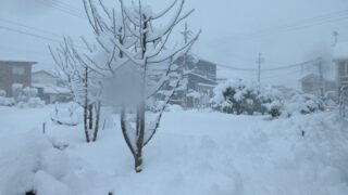 豊岡で積雪60cmの大雪　一晩で30cm超の猛烈な積雪、衆院選や交通への影響広がる