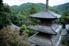 普段は入れない本堂内陣へ。法華山一乗寺特別拝観ガイドツアーが開催│加西市