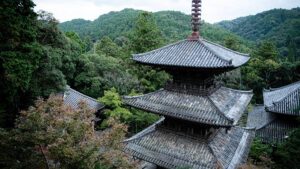 普段は入れない本堂内陣へ。法華山一乗寺特別拝観ガイドツアーが開催│加西市