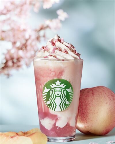 【スタバ】桜の味わいが好きな人も、さくら気分を味わいたい人も楽しめる!選べる3つのSAKURAビバレッジが登場