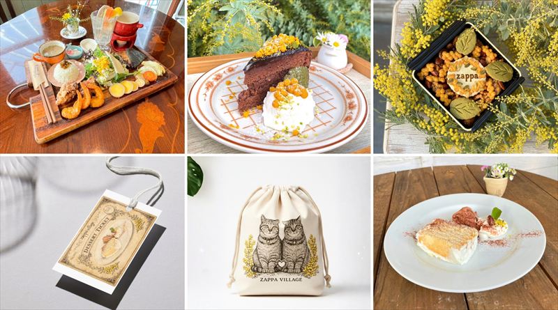 ３月８日は「ザッパの日」姫路太市の魅力あつまる感謝祭がミモザに想いをのせてザッパ村で開催│姫路市