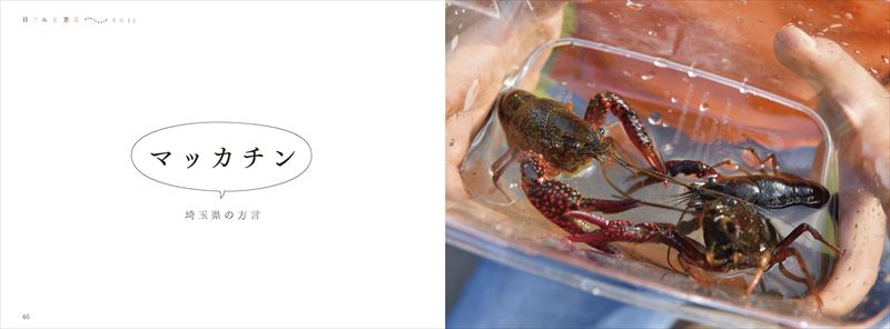 東京にも方言がある？『目でみる方言』で楽しむ日本全国47都道府県のことば