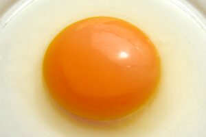 【淡路島】絶景PAの人気No.1メニューが進化!「釜揚げしらす丼」がブランド卵でさらに贅沢にリニューアル