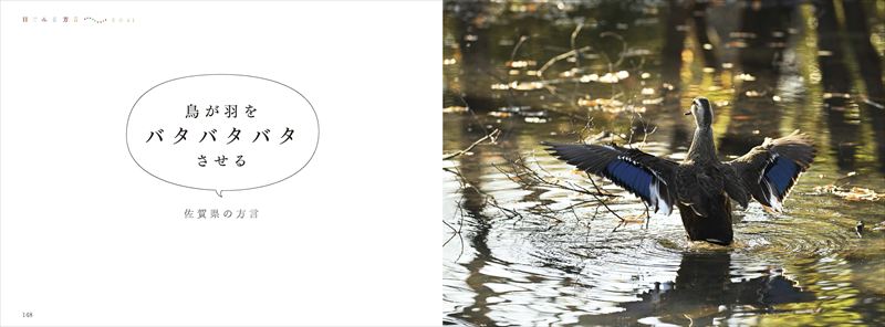 東京にも方言がある？『目でみる方言』で楽しむ日本全国47都道府県のことば