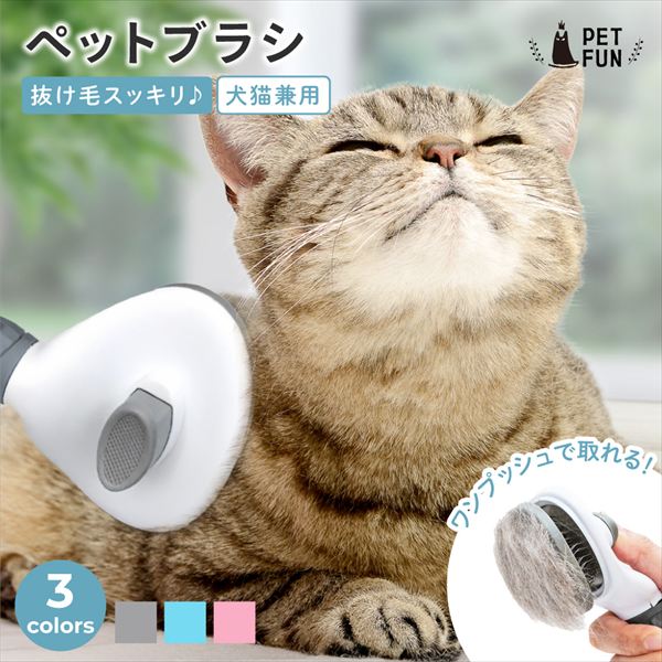 【猫の日限定】猫用品全品12％OFFセール開催！人気猫アイテムをお得にゲット