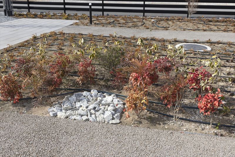 ルクセンブルクパビリオンの思い受け継ぐ。地域協創型物流拠点「KASAI SUSTAINABLE BASE」完成│加西市