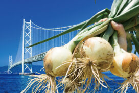 淡路島の春は、たまねぎから始まる！淡路ハイウェイオアシスで『淡路島たまねぎフェア』が開催