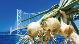 淡路島の春は、たまねぎから始まる！淡路ハイウェイオアシスで『淡路島たまねぎフェア』が開催