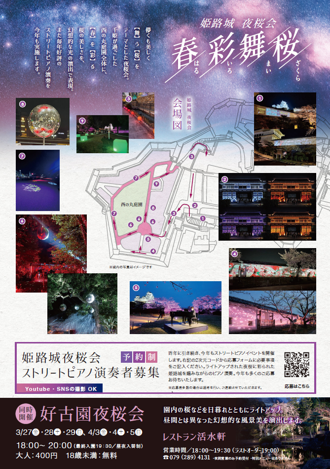 姫路城夜桜会「春彩舞桜 (はるいろまいざくら)」│姫路市