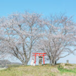 あなたのとっておきの1枚を。「ふるさと加西Instagramフォトコンテスト 春・夏2026」開催│加西市