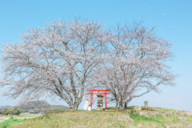 あなたのとっておきの1枚を。「ふるさと加西Instagramフォトコンテスト 春・夏2026」開催│加西市