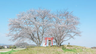 あなたのとっておきの1枚を。「ふるさと加西Instagramフォトコンテスト 春・夏2026」開催│加西市