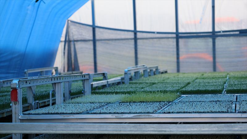 市川町の農家の想いを届けるPR動画が完成。地域を守る農業の１年に密着