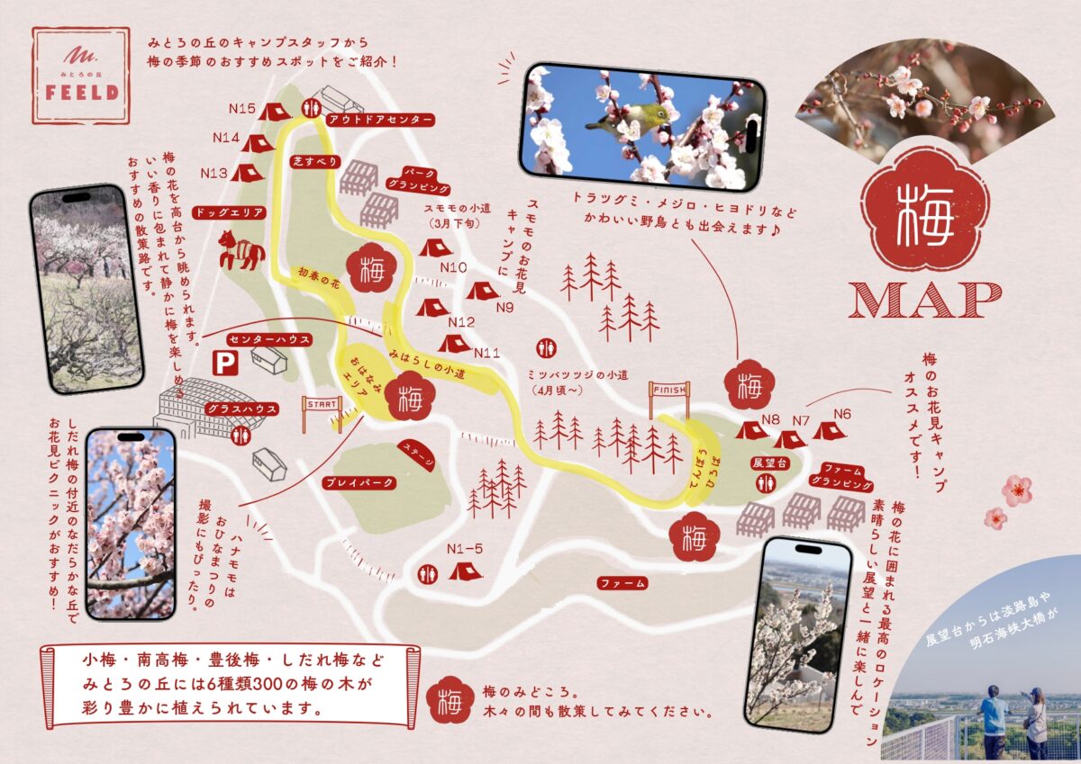 みとろの丘で梅が見頃に。園内を楽しむ「梅MAP」を公開中│加古川市