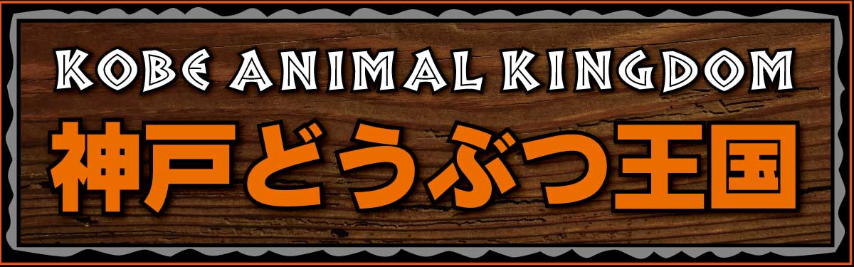 アトアが今年開業5周年！感謝を込めた Anniversary Year がスタート！