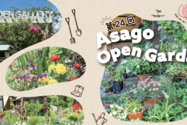 花と緑に癒される。あさごオープンガーデン2026が今年も開催│朝来市