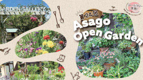 花と緑に癒される。あさごオープンガーデン2026が今年も開催│朝来市