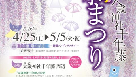 大歳神社「千年藤」藤まつり2026│宍粟市