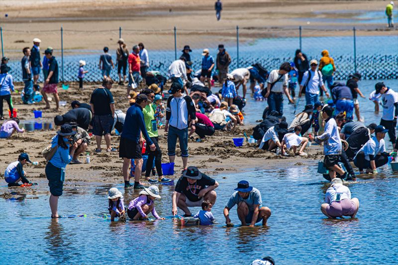 姫路白浜潮干狩り場でロングシーズン開幕。初のチャンピオンシップも開催│姫路市