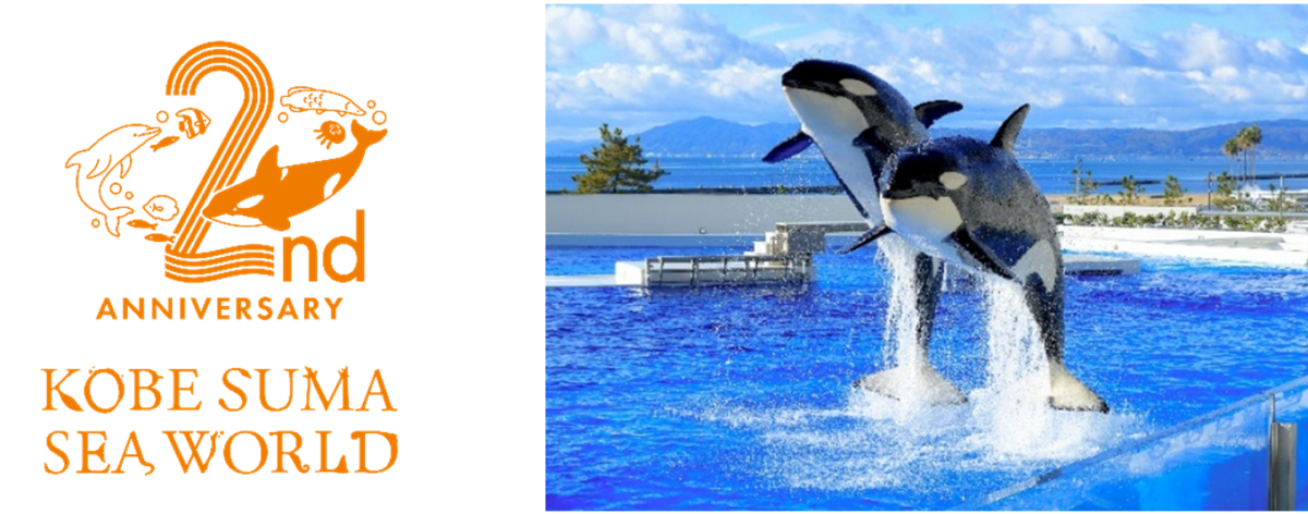 【神戸須磨シーワールド】にっこりつながる開業２周年イベント。みんなでつくって笑顔になろう！「２周年メッセージパネル」が登場