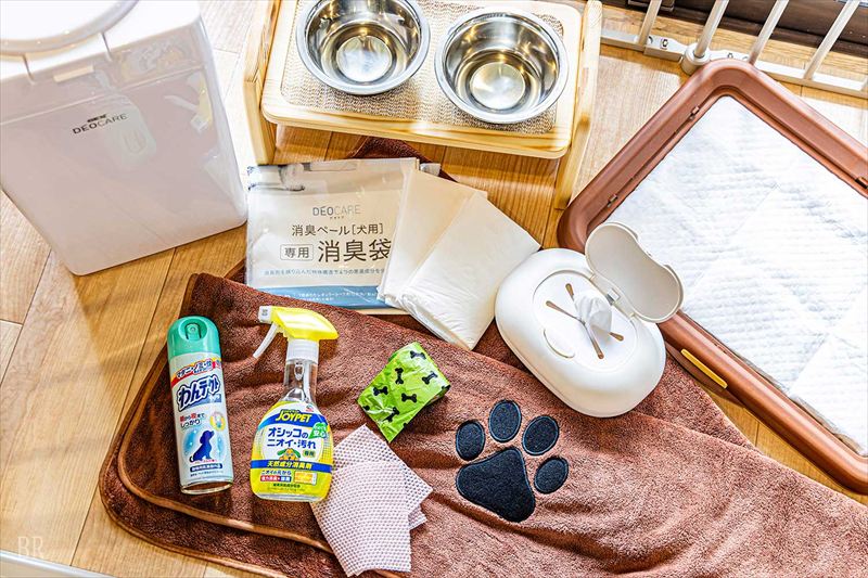 小学生以下無料＆3,000円OFF！赤穂海浜公園内グランピングで初夏キャンペーン開催