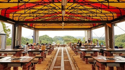 『こうべアグリパークネモフィラの丘2026』ナイター営業が初開催。夜の幻想的なネモフィラを楽しむ