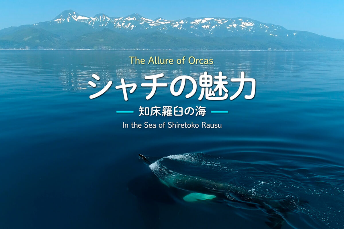 【神戸須磨シーワールド】にっこりつながる開業２周年イベント。みんなでつくって笑顔になろう！「２周年メッセージパネル」が登場