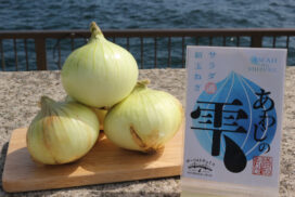 「淡路島の新玉ねぎ」の通販が解禁！人気商品が 道の駅あわじ公式通販サイトにて販売開始