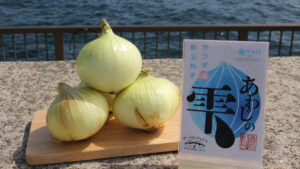「淡路島の新玉ねぎ」の通販が解禁！人気商品が 道の駅あわじ公式通販サイトにて販売開始