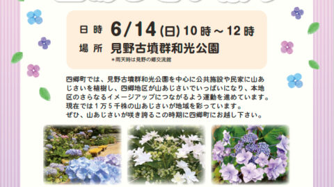 第20回 山あじさい祭り│姫路市