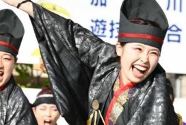 加古川が揺れる2日間！「第28回踊っこまつり」開催。GWは熱い演舞で元気をもらおう