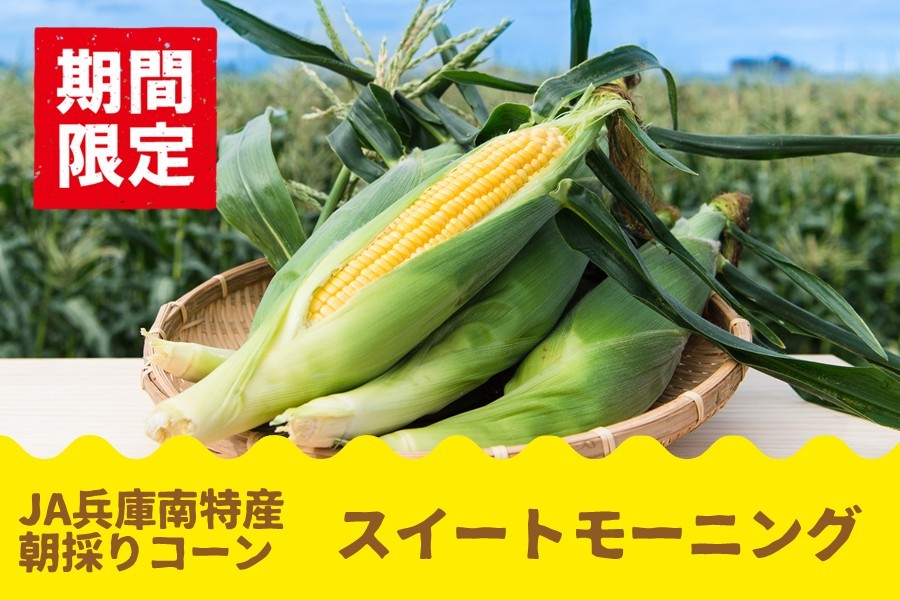 甘さがぎゅぎゅっと！毎年大好評の兵庫県産「スイートモーニング」の予約開始