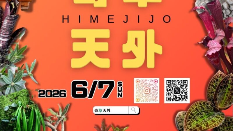 第三回 姫路城 奇草天外な植物市